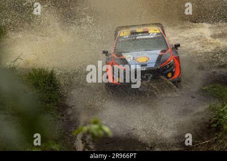 11 Thierry NEUVILLE (bel), Martijn WYDAEGHE (bel), HYUNDAI SHELL MOBIS WORLD RALLY TEAM, HYUNDAI I20 N Rally1 Hybrid, WRC, azione durante il Safari Rally Kenya 2023, 7th° round del WRC World Rally Car Championship 2023, dal 22 al 25 giugno 2023 a Naivasha, Nakuru County, Kenya Foto Stock