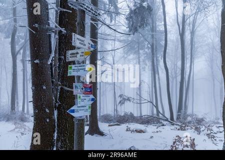 Bardo, Polonia - gennaio 2023: Punto di riferimento in montagna con travi in legno e cartelli con indicazioni stradali per i luoghi circostanti Foto Stock