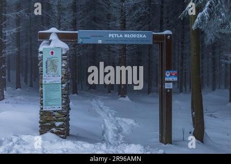 Bardo, Polonia - gennaio 2023: Passo di Klodzko pieno di alberi ricoperti di neve fresca in inverno Foto Stock