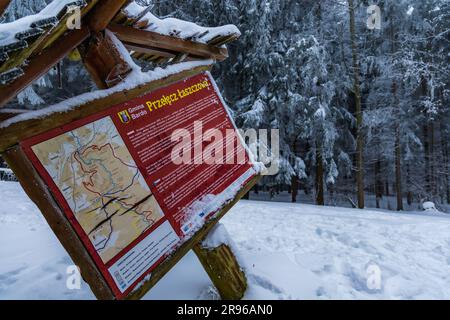 Bardo, Polonia - gennaio 2023: Passo di Klodzko pieno di alberi ricoperti di neve fresca in inverno Foto Stock