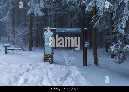 Bardo, Polonia - gennaio 2023: Passo di Klodzko pieno di alberi ricoperti di neve fresca in inverno Foto Stock