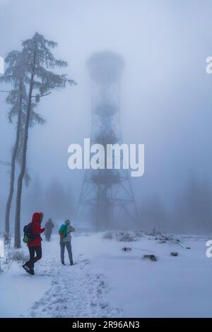 Klodzko, Polonia - gennaio 2023: Torre panoramica sulla cima del monte Klodzka dietro la nebbia e con alberi intorno Foto Stock