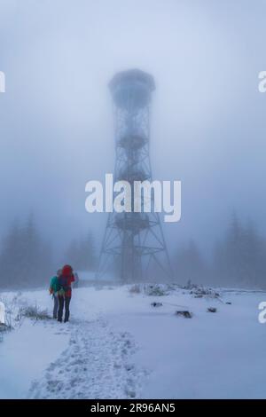 Klodzko, Polonia - gennaio 2023: Torre panoramica sulla cima del monte Klodzka dietro la nebbia e con alberi intorno Foto Stock