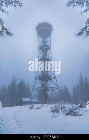 Klodzko, Polonia - gennaio 2023: Torre panoramica sulla cima del monte Klodzka dietro la nebbia e con alberi intorno Foto Stock