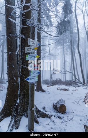 Bardo, Polonia - gennaio 2023: Punto di riferimento in montagna con travi in legno e cartelli con indicazioni stradali per i luoghi circostanti Foto Stock