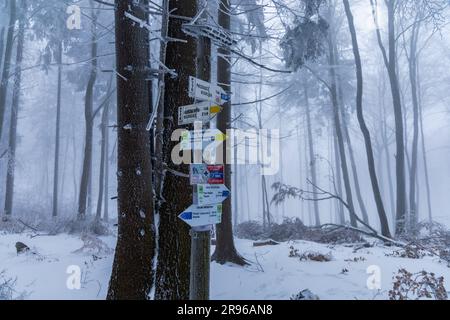 Bardo, Polonia - gennaio 2023: Punto di riferimento in montagna con travi in legno e cartelli con indicazioni stradali per i luoghi circostanti Foto Stock