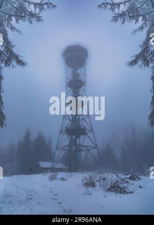 Klodzko, Polonia - gennaio 2023: Torre panoramica sulla cima del monte Klodzka dietro la nebbia e con alberi intorno Foto Stock