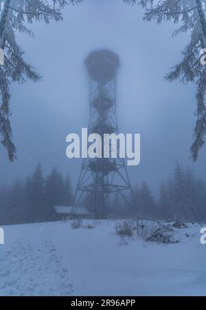 Klodzko, Polonia - gennaio 2023: Torre panoramica sulla cima del monte Klodzka dietro la nebbia e con alberi intorno Foto Stock