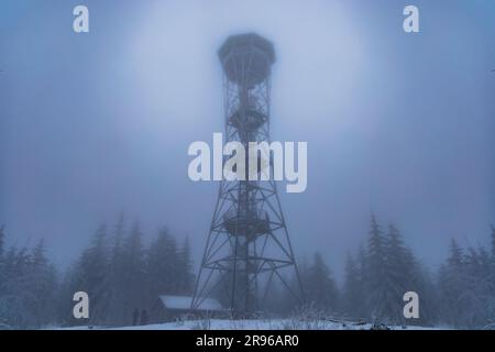 Klodzko, Polonia - gennaio 2023: Torre panoramica sulla cima del monte Klodzka dietro la nebbia e con alberi intorno Foto Stock