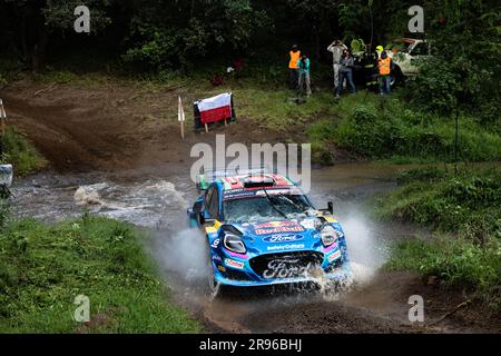 Naivasha, Kenya. 24 giugno 2023. Pierre-Louis Loubet (fra) Nicolas Gilsoul (bel), di Ford Puma Rally1 durante la M-Sport Ford WRT, 24 giugno 2023 a Naivasha, Kenya Credit: Live Media Publishing Group/Alamy Live News Foto Stock