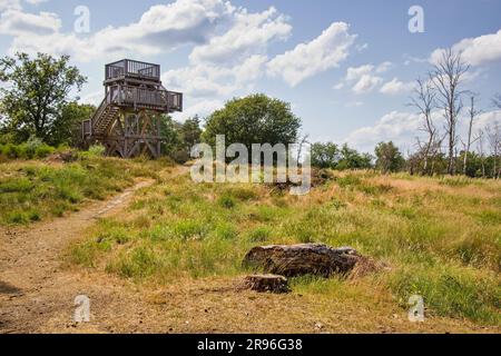 Torre di osservazione in legno sulle brughiere del Parco Nazionale De Meinweg, parte del parco Maas-Schwalm-nette, regione del Limburgo, Paesi Bassi Foto Stock