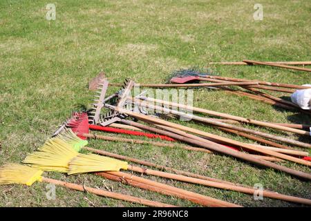 Molti rastrelli, pale, spazzoline e spazzole, utensili domestici per la pulizia, disposizione del territorio, giacciono sull'erba verde Foto Stock