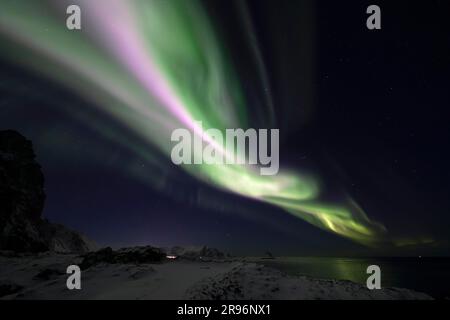 Aurora boreale (aurora boreale) in verde e rosa raro sulla scogliera ornitologica di Bleik, Vesteralen, Norvegia Foto Stock