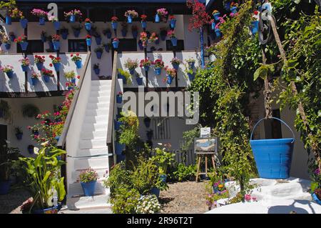 Tipico cortile nel quartiere di San Basilio la juderia (quartiere ebraico), Cordova, Andalusia, Spagna Foto Stock