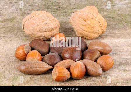 Nocciole, noci pecan, castagne e noci (Corylus avellana) (Juglans regia) (Carya illinoiensis), noci pecan, castagne, castagne dolci Foto Stock