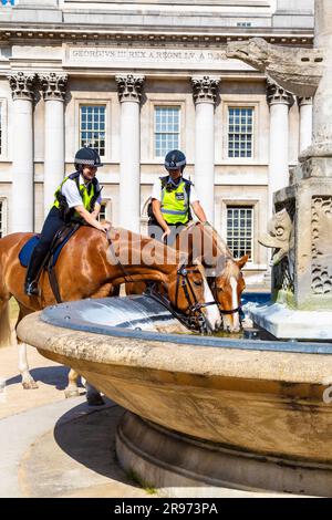 Cavalli della polizia che bevono da una fontana in una calda giornata estiva all'Old Royal Navy College, Greenwich, Londra, Inghilterra Foto Stock