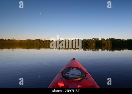 Kayak rosso a Coot Bay nel Parco Nazionale delle Everglades, Florida, con la luna sullo sfondo alla luce del tardo pomeriggio. Foto Stock