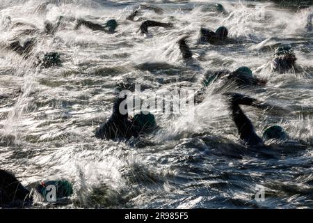 Hilpoltstein, Germania. 25 giugno 2023. I triatleti gareggiano nella gamba di nuoto al Datev Challenge Roth. I partecipanti al triathlon devono nuotare per 3,8 km, pedalare per 180 km e correre per 42,195 km Credito: Daniel Karmann/dpa/Alamy Live News Foto Stock