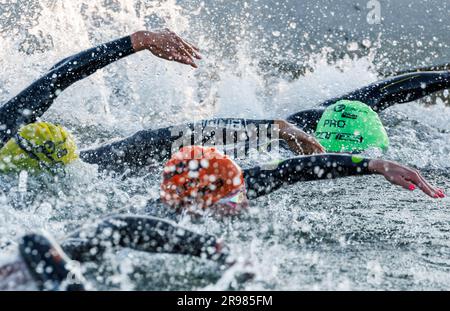 Hilpoltstein, Germania. 25 giugno 2023. Le triatlete femminili gareggiano nella gamba di nuoto al Datev Challenge Roth. I partecipanti al triathlon devono nuotare per 3,8 km, pedalare per 180 km e correre per 42,195 km Credito: Daniel Karmann/dpa/Alamy Live News Foto Stock