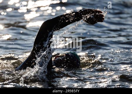 Hilpoltstein, Germania. 25 giugno 2023. Un triatleta gareggia nella gamba di nuoto del Datev Challenge Roth. I partecipanti al triathlon devono nuotare per 3,8 km, pedalare per 180 km e correre per 42,195 km Credito: Daniel Karmann/dpa/Alamy Live News Foto Stock