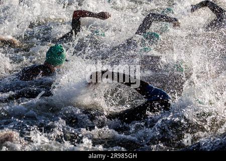 Hilpoltstein, Germania. 25 giugno 2023. I triatleti gareggiano nella gamba di nuoto al Datev Challenge Roth. I partecipanti al triathlon devono nuotare per 3,8 km, pedalare per 180 km e correre per 42,195 km Credito: Daniel Karmann/dpa/Alamy Live News Foto Stock