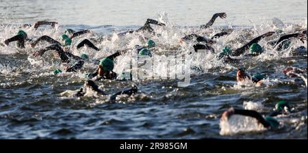 Hilpoltstein, Germania. 25 giugno 2023. I triatleti gareggiano nella gamba di nuoto al Datev Challenge Roth. I partecipanti al triathlon devono nuotare per 3,8 km, pedalare per 180 km e correre per 42,195 km Credito: Daniel Karmann/dpa/Alamy Live News Foto Stock