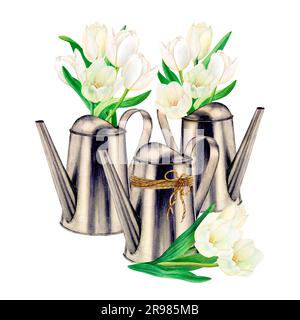 Set di lattine in metallo disegnate ad acquerello con bellissimi mazzi di fiori di tulipano bianchi su sfondo bianco. Perfetto per adesivo, logo, tovagliolo Foto Stock