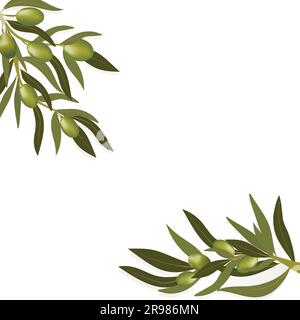 Sfondo con rametto d'oliva e olive verdi. Cibo vegetariano e stile di vita sano Illustrazione Vettoriale