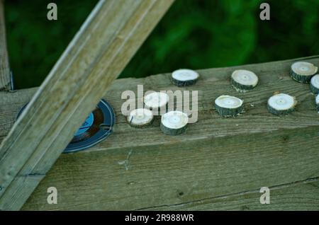 Preparazione di cerchi in legno per rune, irga Foto Stock