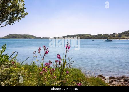 Yacht all'ancora nel New Grimsby Sound tra Tresco e Bryher, Isles of Scilly, Regno Unito, in una tranquilla giornata estiva. Foto Stock