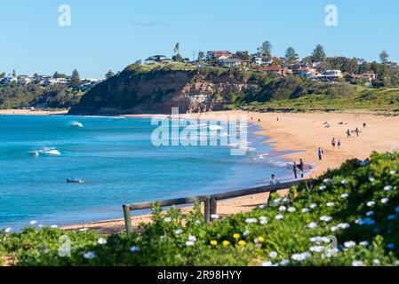 I surfboard alla spiaggia di Mona vale a Sydney, nuovo Galles del Sud, Australia. Sullo sfondo sopra la scogliera si trova il confine tra Mona vale e Warriewood Foto Stock