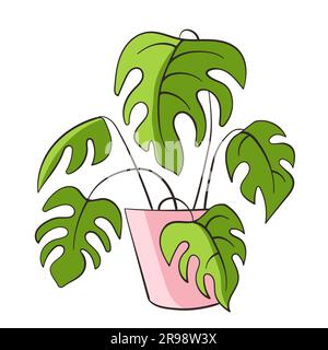 Stile artistico Monstera flat and line. Monstera, pianta in vaso, stile cartoni animati. Illustrazione vettoriale moderna e alla moda isolata su sfondo bianco, mano Illustrazione Vettoriale