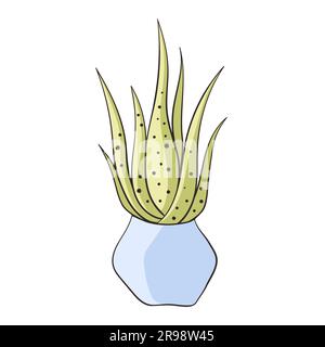 Aloe Houseplant. Impianto verde in vaso da fiori. Decorazione domestica. Pianta di casa di aloe vera in vaso di fiori illustrazione vettoriale su sfondo bianco. Illustrazione Vettoriale