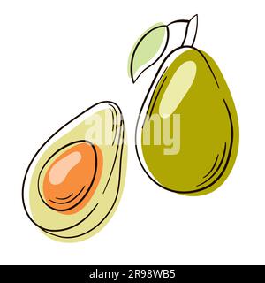 Intero e tagliato a metà avocado con buca. Icona della frutta di avocado. Avocado vettoriale disegnato a mano. Line art. Illustrazione Vettoriale