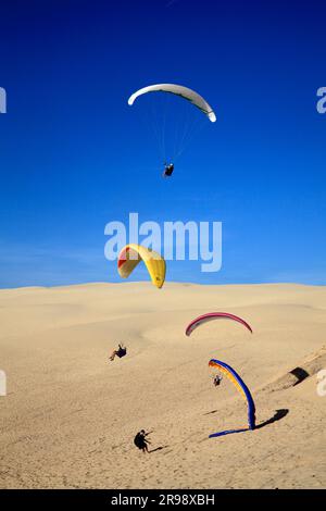 Volo gratuito. Scuola di parapendio sulla Dune du Pyla. Arcachon, Gironde, Francia Foto Stock