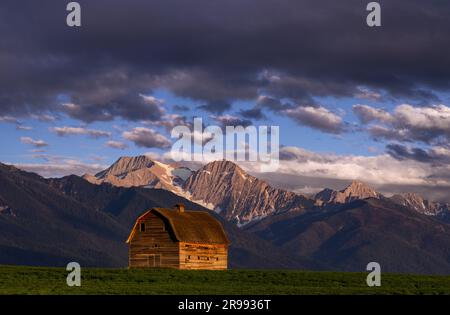Vecchio fienile e Mission Mountains, Lake County, Montana, USA Foto Stock
