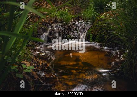 Piccola cascata nascosta nel profondo della foresta della Boemia centrale, Repubblica Ceca. Posto tranquillo e tranquillo. Foto Stock