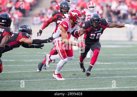 Ottawa, Canada. 15 giugno 2023. Calgary Stampeders wide receiver Reggie Begelton (84) punti seguiti dal linebacker degli Ottawa Redblacks Frankie Griffin (28) durante la partita CFL tra Calgary Stampeders e Ottawa Redblacks tenutasi al TD Place Stadium di Ottawa, Canada. Daniel Lea/CSM/Alamy Live News Foto Stock