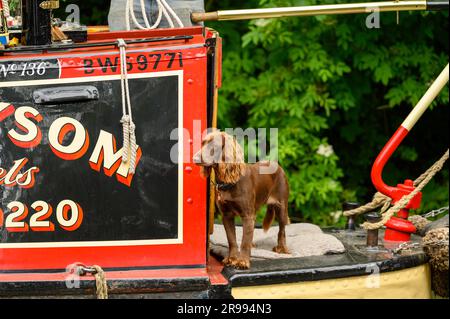 Partecipanti all'annuale rally storico di narrowboat a Braunston, Northamptonshire Foto Stock