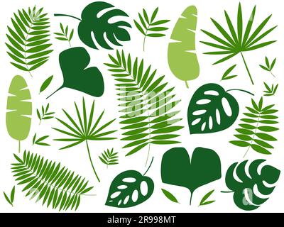 piante tropicali esotiche foglie set Illustrazione Vettoriale