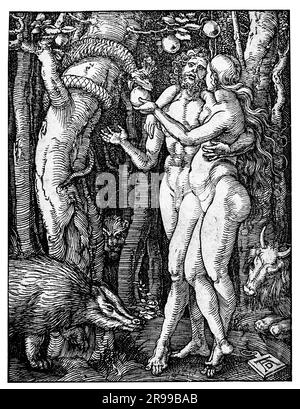 La caduta dell'uomo di Albrecht durer Foto Stock