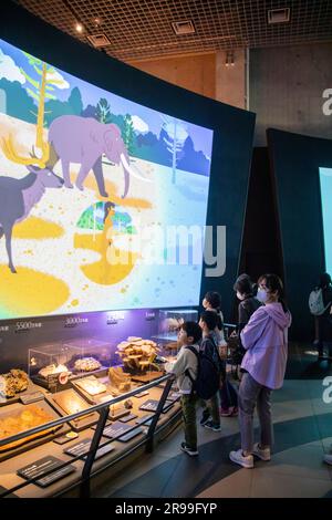 Tokyo Giappone 11 marzo 2023: I turisti visitano la mostra "Navigatori sulla storia della Terra" nel Museo Nazionale della natura e della Scienza. Foto Stock