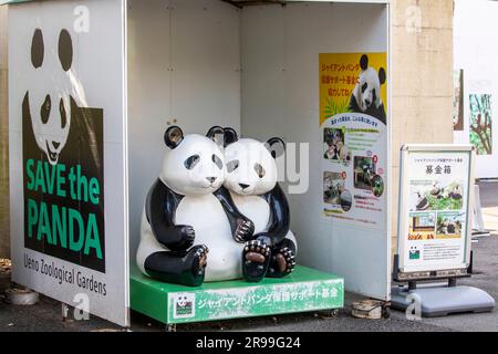 Tokyo Giappone 11 marzo 2023: La scena del "Save the panda" e la scatola delle donazioni nello zoo di Ueno. È il più antico zoo del Giappone, aperto nel 1882. Foto Stock