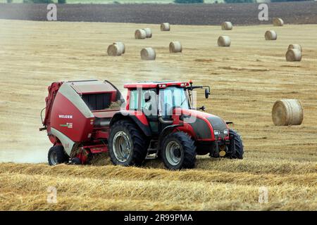 Lavori agricoli. Il raccolto in Lorena. Regione Grand Est, Francia Foto Stock