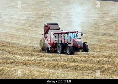 Lavori agricoli. Il raccolto in Lorena. Regione Grand Est, Francia Foto Stock