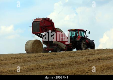 Lavori agricoli. Il raccolto in Lorena. Regione Grand Est, Francia Foto Stock