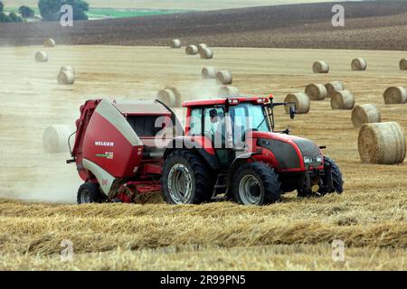 Lavori agricoli. Il raccolto in Lorena. Regione Grand Est, Francia Foto Stock