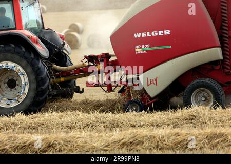 Lavori agricoli. Il raccolto in Lorena. Regione Grand Est, Francia Foto Stock