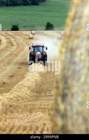 Lavori agricoli. Il raccolto in Lorena. Regione Grand Est, Francia Foto Stock