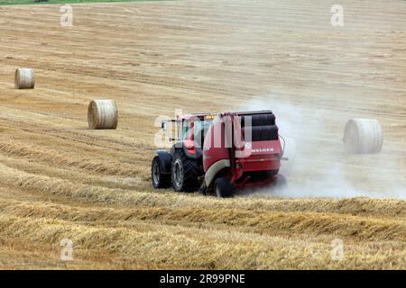 Lavori agricoli. Il raccolto in Lorena. Regione Grand Est, Francia Foto Stock